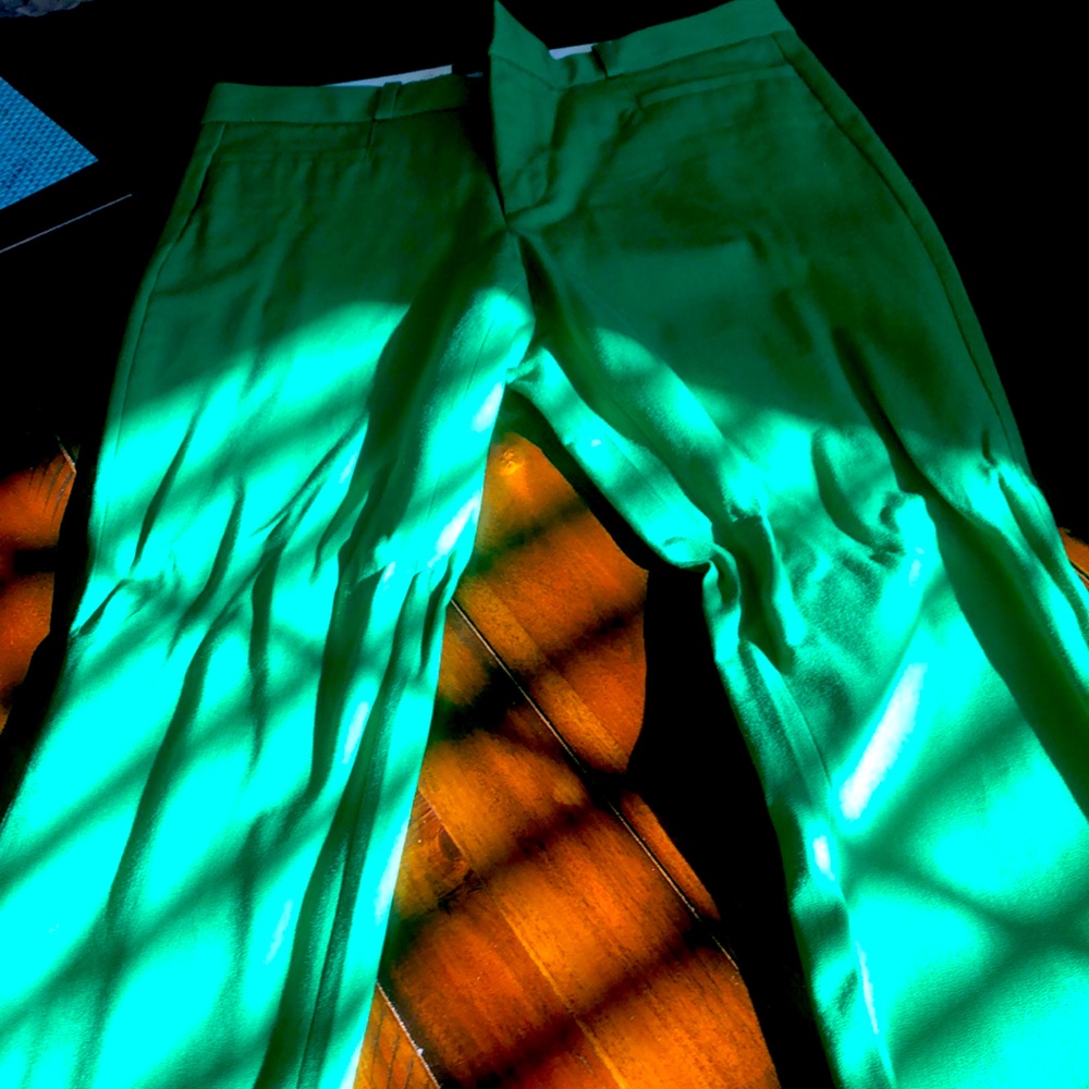 Dress pants